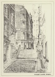 Miles Lane Steps