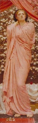 Bloesems