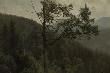 Met bomen begroeide bergen