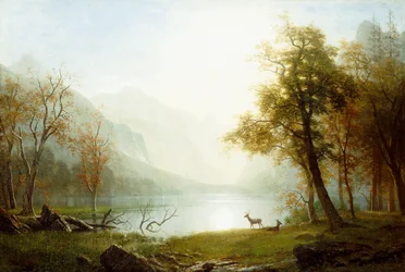 Vallei in King