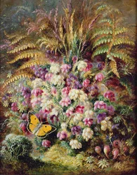 Klokheide