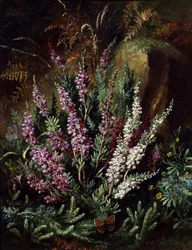 Stilleven van heide en vlinders. Schilderij van Albert Durer Lucas (1828-1918) Privécollectie.