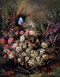 Vlinder in de heide