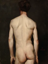 Mannelijke model, academische studie