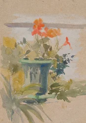 Pelargoniums op het terras