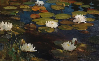 Waterlelies, studie voor Jeugd en een zeemeermin