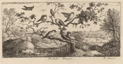 De Goudvink