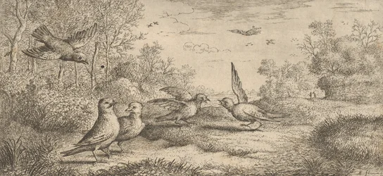 Garrulus, Gey De Gaai: Livre d