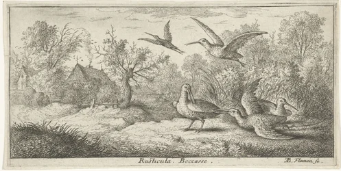 Landschap met houtsnippen; Rusticula. Becasse. (title on object); Vogelboek (series title); Livre d