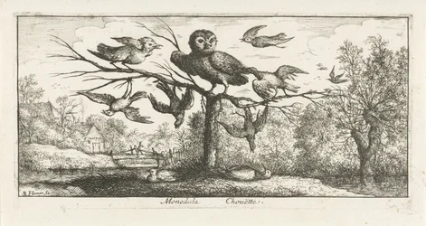Landschap met kerkuil tussen andere vogels Monedula Chouëtte. (titel op object) Vogelboek (serie titel) Livre d