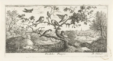 Landschap met snippen