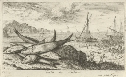Sardines op het strand