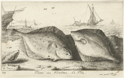 Twee schollen op het strand