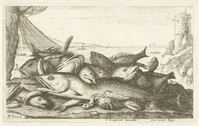 Visvangst met heremietkreeft