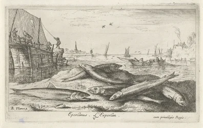 Zes spieringen op het strand