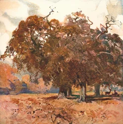 Landschap