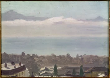 Lausanne en het meer