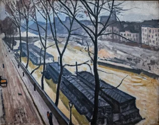 Parijs in de winter. Quai Bourbon