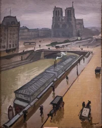Regenachtige dag. Notre-Dame de Paris