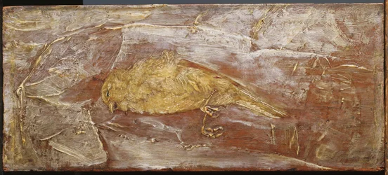 Dode vogel