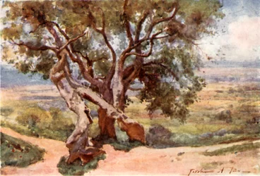 Campagna Romana, vanaf Tivoli