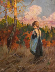 Meisje in een Veld