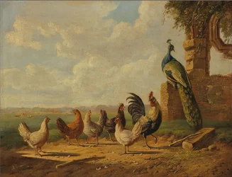 Dutch: Kippen en pauw in een landschap Chickens and Peacock in a Landscape