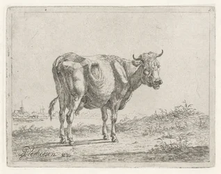 Staande koe