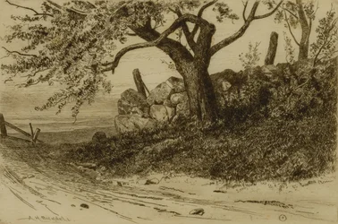Landweg