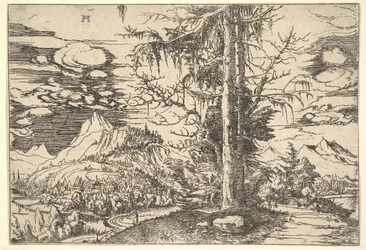 Landschap met een Dubbele Spar