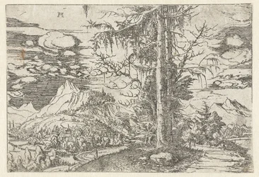 Landschap met dubbele spar