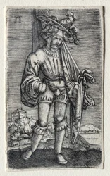 De kleine vaandeldrager