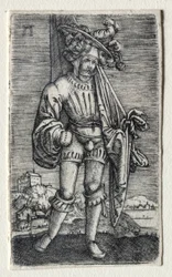De kleine vaandeldrager