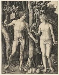 Adam en Eva, 1504