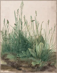 Het grote graszode