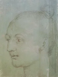 Hoofd van een jonge vrouw