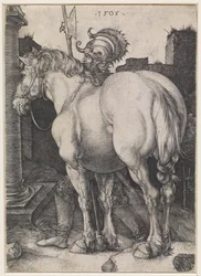 Het grote paard