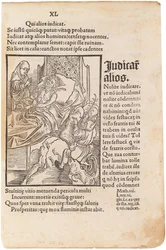 Illustratie voor het boek Narrenschip van Sebastian Brant, 1494
