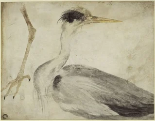 Reiger