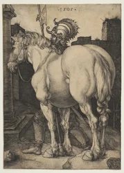 Het grote paard