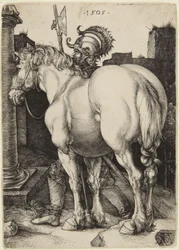 Het grote paard