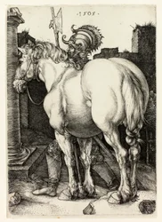Het Grote Paard