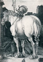 Het grote paard