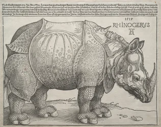 De neushoorn, 1515