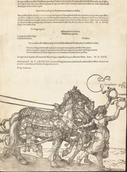 De triomfwagen van Maximiliaan I De grote triomfwagen [plaat 8 van 8], Latijnse editie
