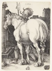 Het grote paard