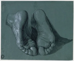 Studie van twee voeten - Tekening door Albrecht Dürer (1471-1528), Waterverf, witte kleur, zwart krijt op papier, ca 1508 (17,6x21,6cm) - Museum Boijmans Van Beuningen, Rotterdam