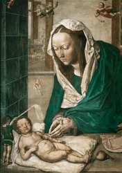 Madonna met kind, centraal paneel van het altaar in Dresden, ca. 1496 (tempera op doek)