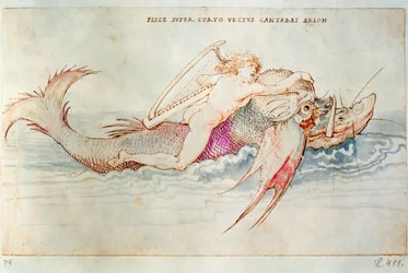 De Griekse dichter Arion rijdt op de dolfijn, c.1515 (aquarel op papier)