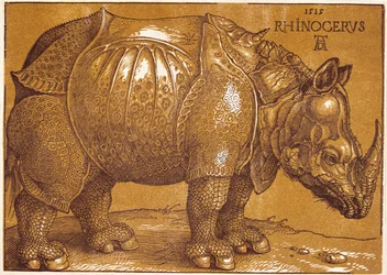 De neushoorn